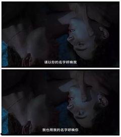 当我呼唤你的名字,探寻名字背后的情感与记忆