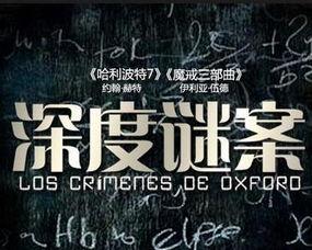 断林镇谜案 第十一季,迷雾重重的真相揭晓